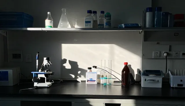 系统运维选型需聚焦形成自身特色