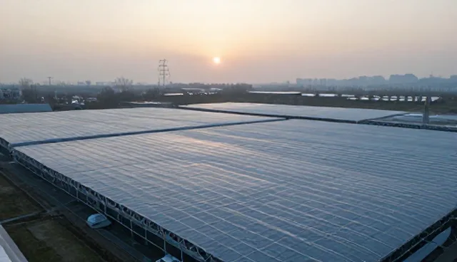 供求发布套餐中内容质量影响曝光率的原因分析