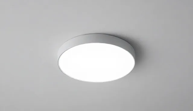 后勤托管中消杀项目的检查要点与适用限制