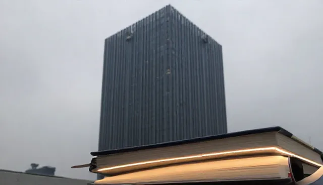 定制软件开发中系统架构的选择依据与适用条件