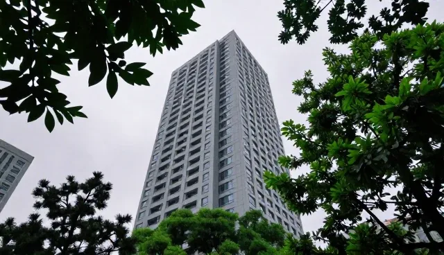 影视策划选型建议：选题与制作环节的关键把控