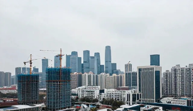 技术服务适用条件与限制，明确使用场景