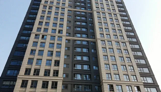 策划中决策支持的两种做法对比及适用条件分析