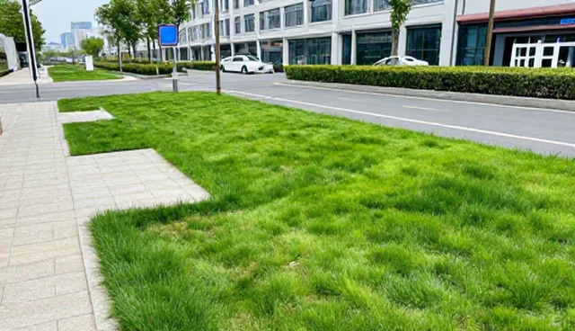 物业管理中服务成本控制的关键策略与建议