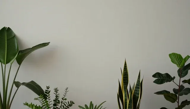 软件研发中理解偏差的识别与应对策略