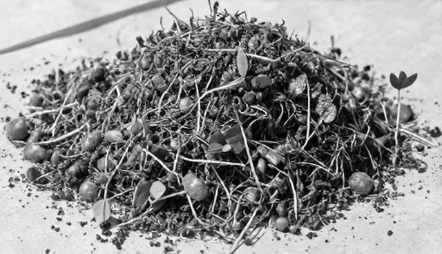 农产品加工如何影响产量？关键性能与适用条件分析