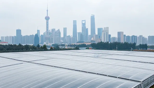 微信公众号怎么开发：避免常见误区