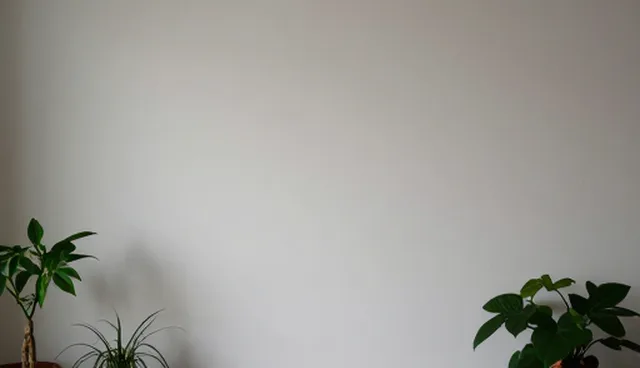 网络推广外包如何避免常见误区