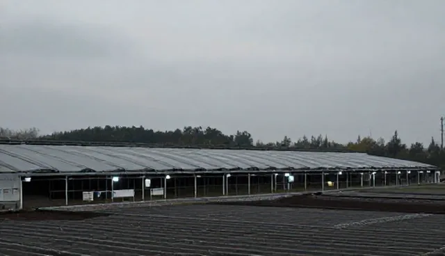商务考察包车选择需关注成本优化与适用限制