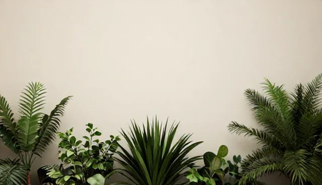 操作规范中的使用建议与限制分析