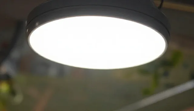 应用场景分析：展示策略在不同场景中的运用