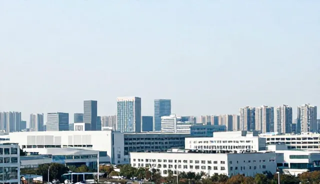 区域企业名录查询的适用条件与选择依据
