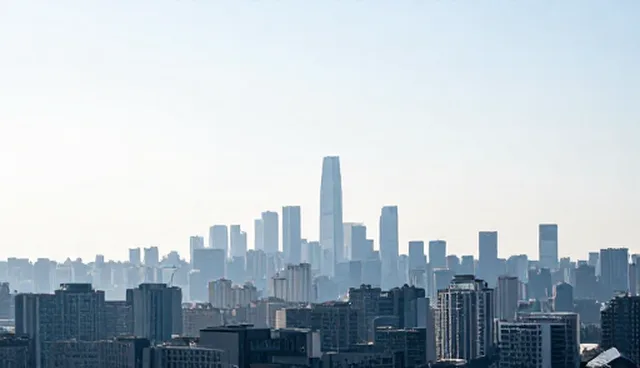 品牌咨询在信息产品中的选择依据与使用场景分析