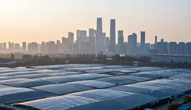 企业管理系统性能优化的选型与维护建议