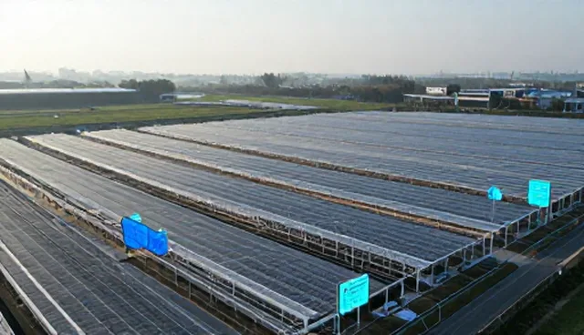 大模型评测方法：应用场景分析与优化策略