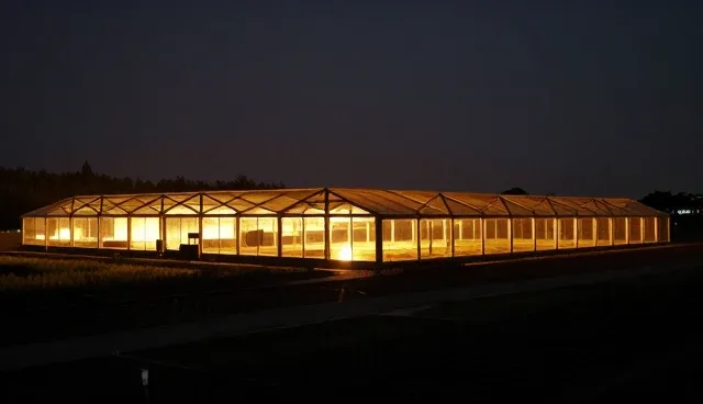 外墙清洗选型关注点：性能与适用条件解析
