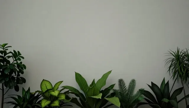 农机服务选型中功率匹配误区的成因分析