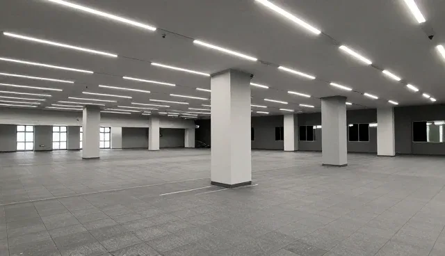 APP开发在官网建设中的实际应用问题解析