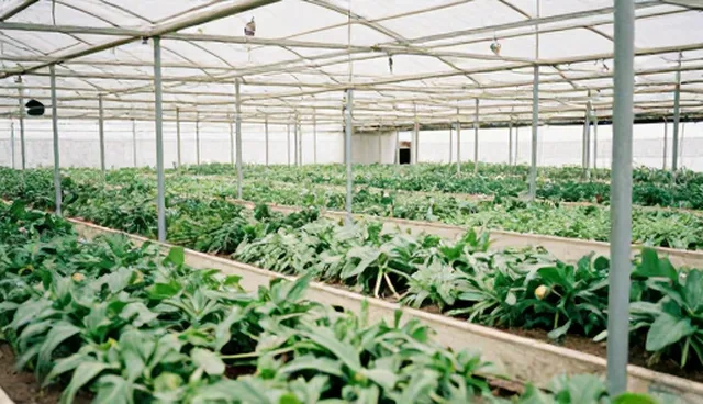 企业开发中短视频运营的两个实际环节分析