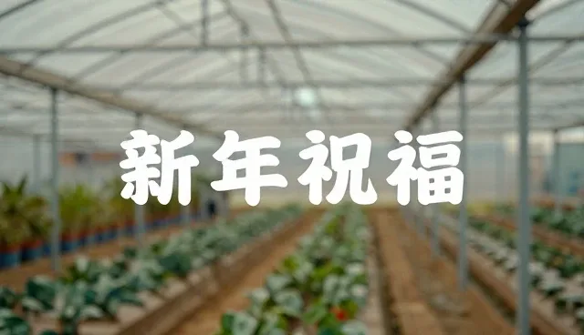 产品需求文档：角色扮演提示词的具体分析重点