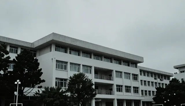 专科诊疗服务如何精准匹配用户健康管理需求