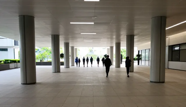 效率提升：如何降低运输成本的实用建议