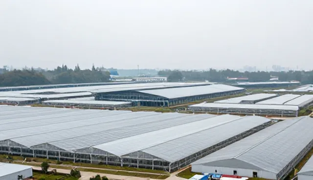 年度审计与鉴证如何保障业务流程稳定性？