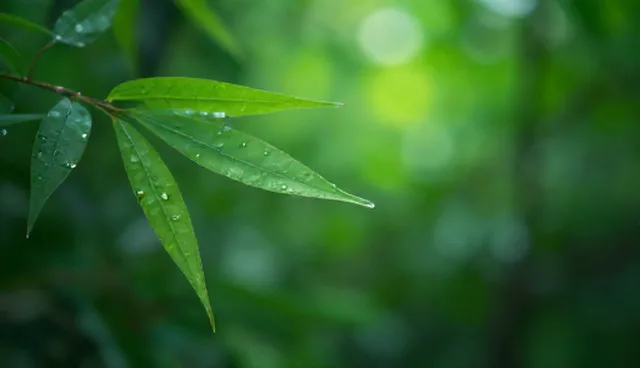 消防施工中常见误区如何识别？