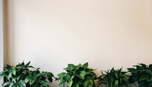 电商运营中如何应对算法推荐的选型难题？