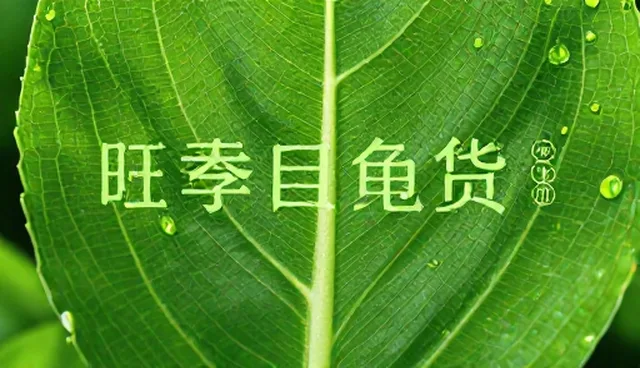 广告设计制作适配方案：优化路径的实践与趋势