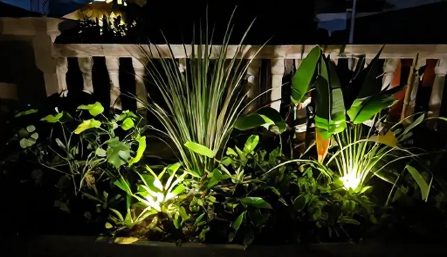 绿化植物选型与维护建议应对工程改造难题