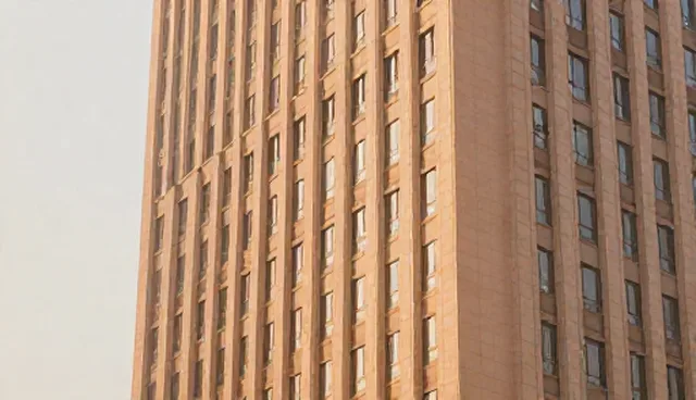 平面设计在项目执行中的应用场景与选型建议