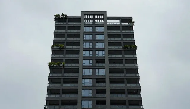 物业管理中绿化养护服务的选型与维护建议