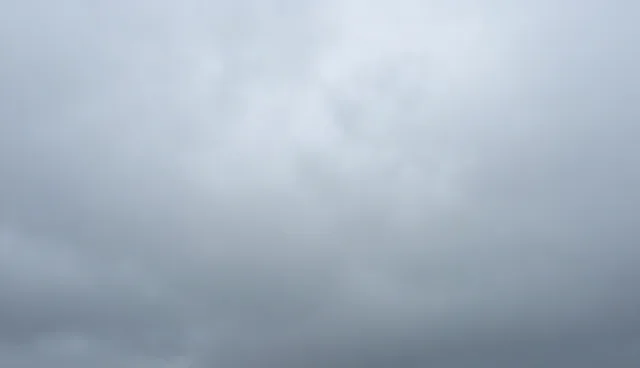批发零售业务中限制条件的检查要点分析