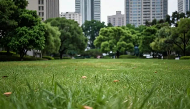 如何在信息化服务中灵活应用科技？