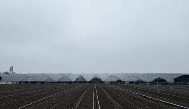 系统性能适配对业务实施结果的影响分析