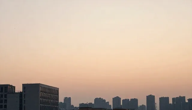 技术转让对企业管理系统维护的影响原因