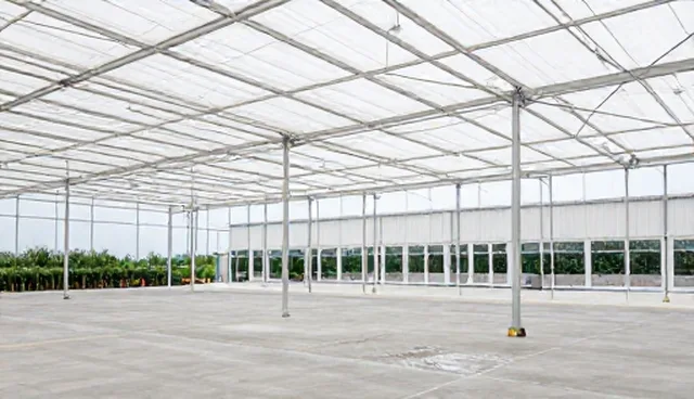 物流网站建设常见误区及应用场景解析