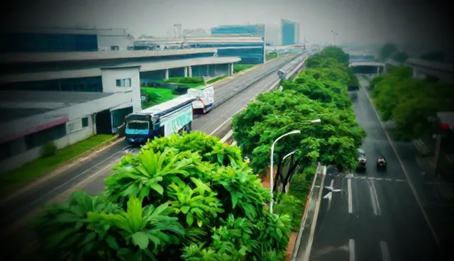 系统部署服务应用场景分析要点解读