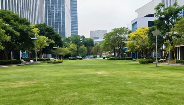 财税合规咨询：信息准确性对选型的影响分析
