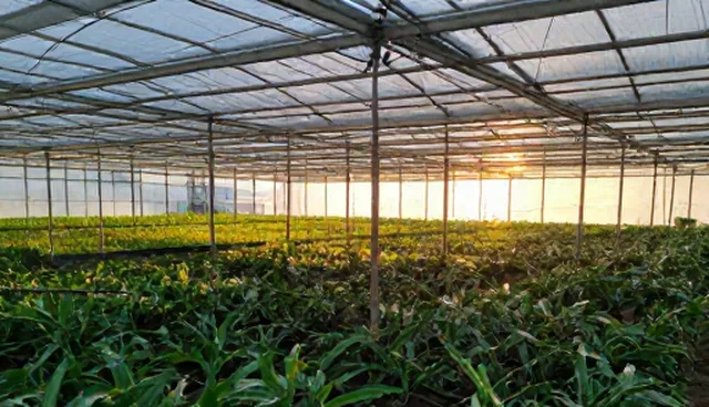 系统集成在成本控制中的关键作用与使用误区