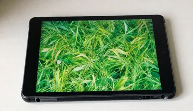 应用开发性能提升的关键策略与问题处理方向
