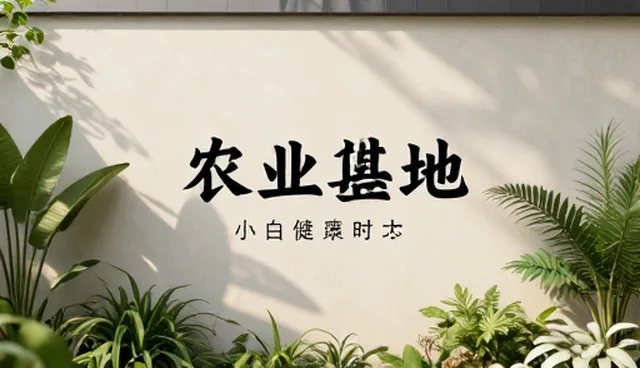 数字内容创作中的服务响应机制理解偏差与选型关注点