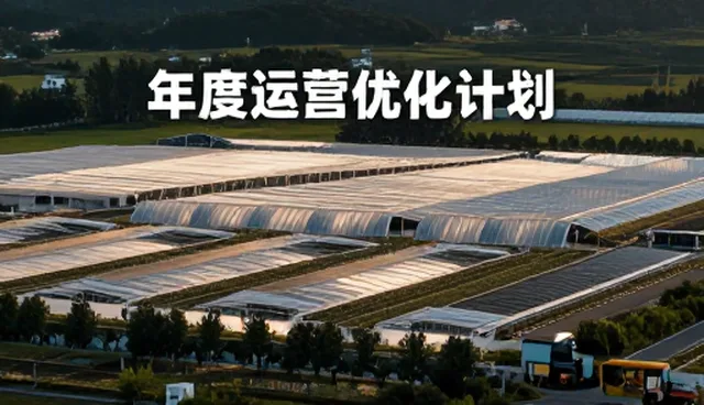 品牌咨询维护策略适配方案，如何解决实际问题
