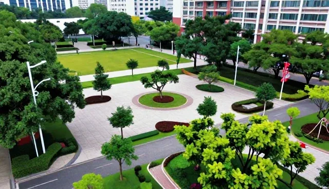 技术外包服务的适用条件及选择依据