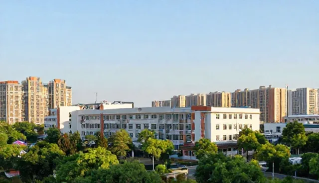 如何选择适合的化方案？