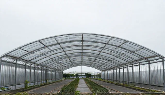 供求信息发布平台优化：常见误区与正确使用方式