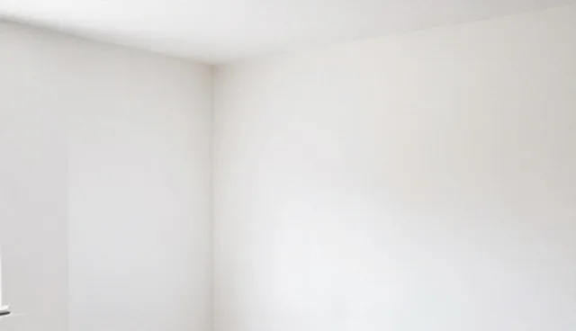 软件研发的性能与适用条件分析