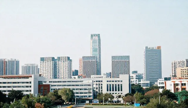 网络技术咨询适用条件及选择依据分析