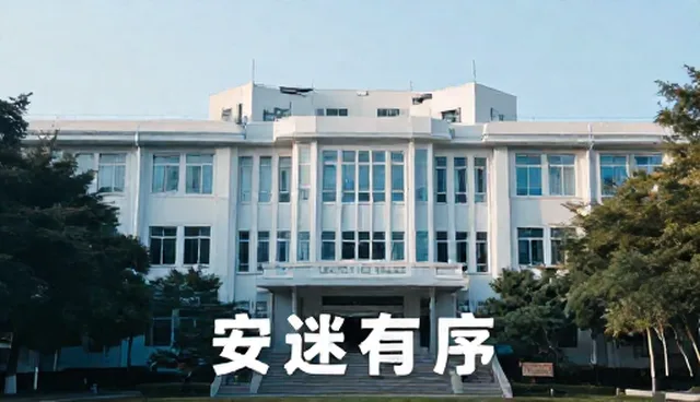 品牌策划如何应对市场变化？